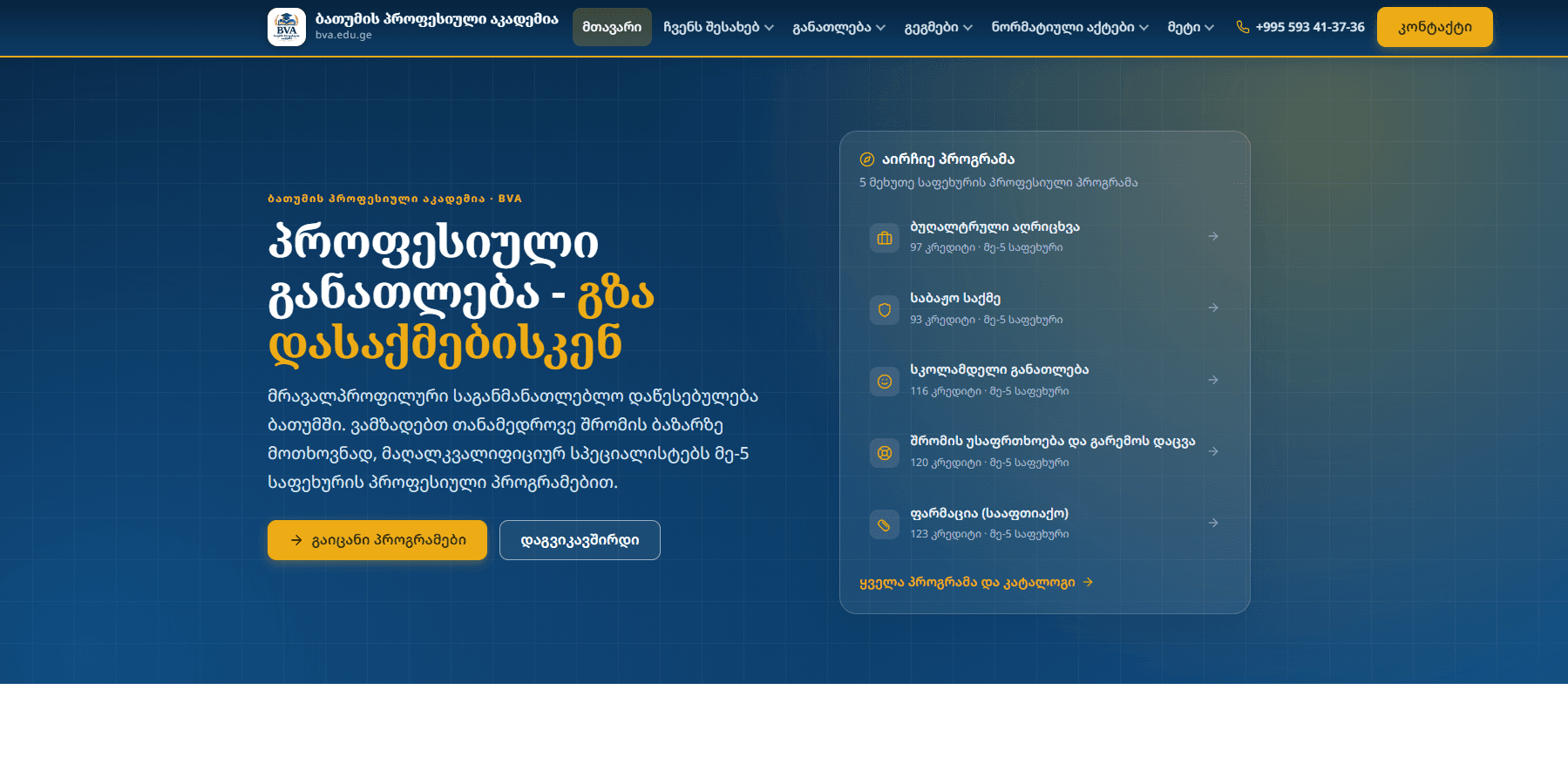 Batumi Professional Academy - project cover